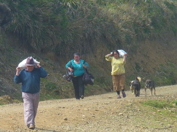 Nordwärts immer nordwärts,