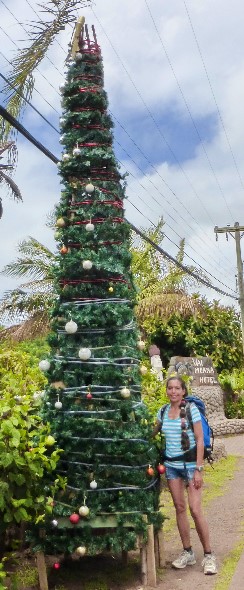 einer hängt an ein Holzgestell alte CDs, der andere Pappkarton.