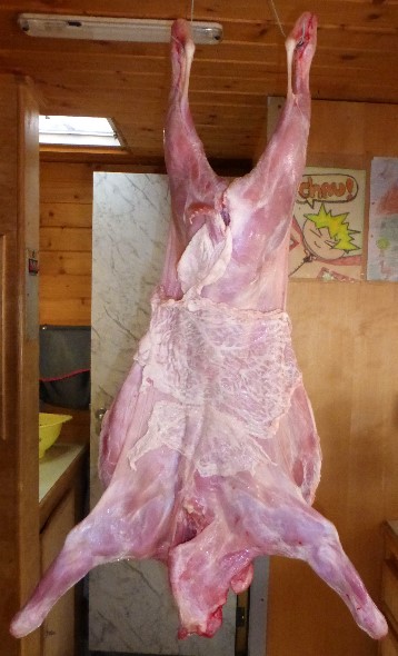 Die Argentinier hängen bei Ziege oder Lamm das eigene Netz der Tiere um